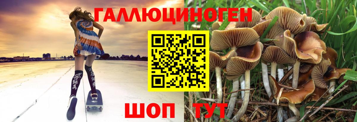Галлюциногенные грибы MAGIC MUSHROOMS  Вход с VPN  Рыбинск 